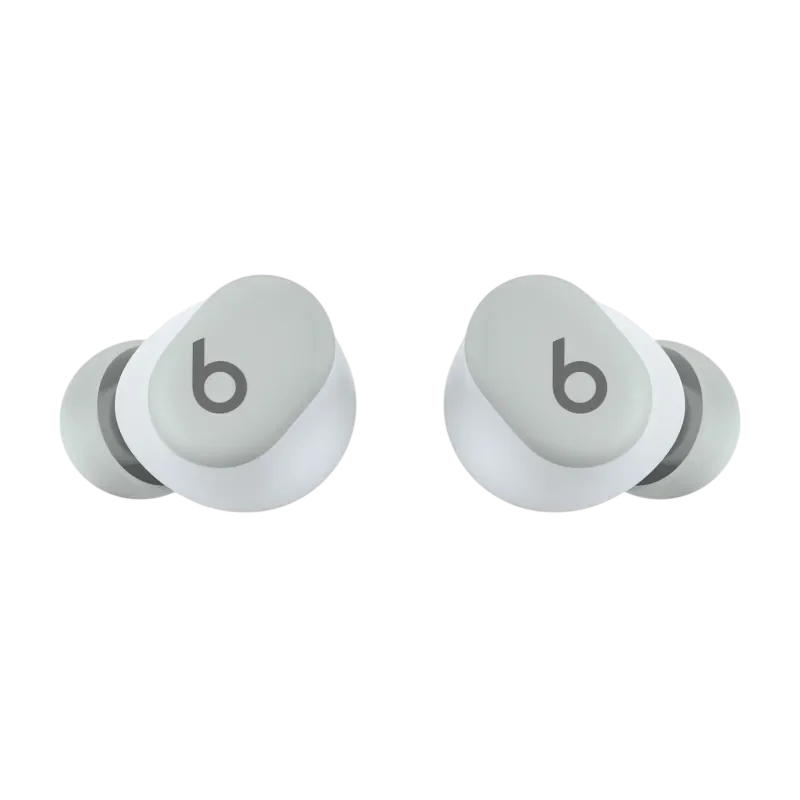 Beats Solo Buds Storm Gray 2